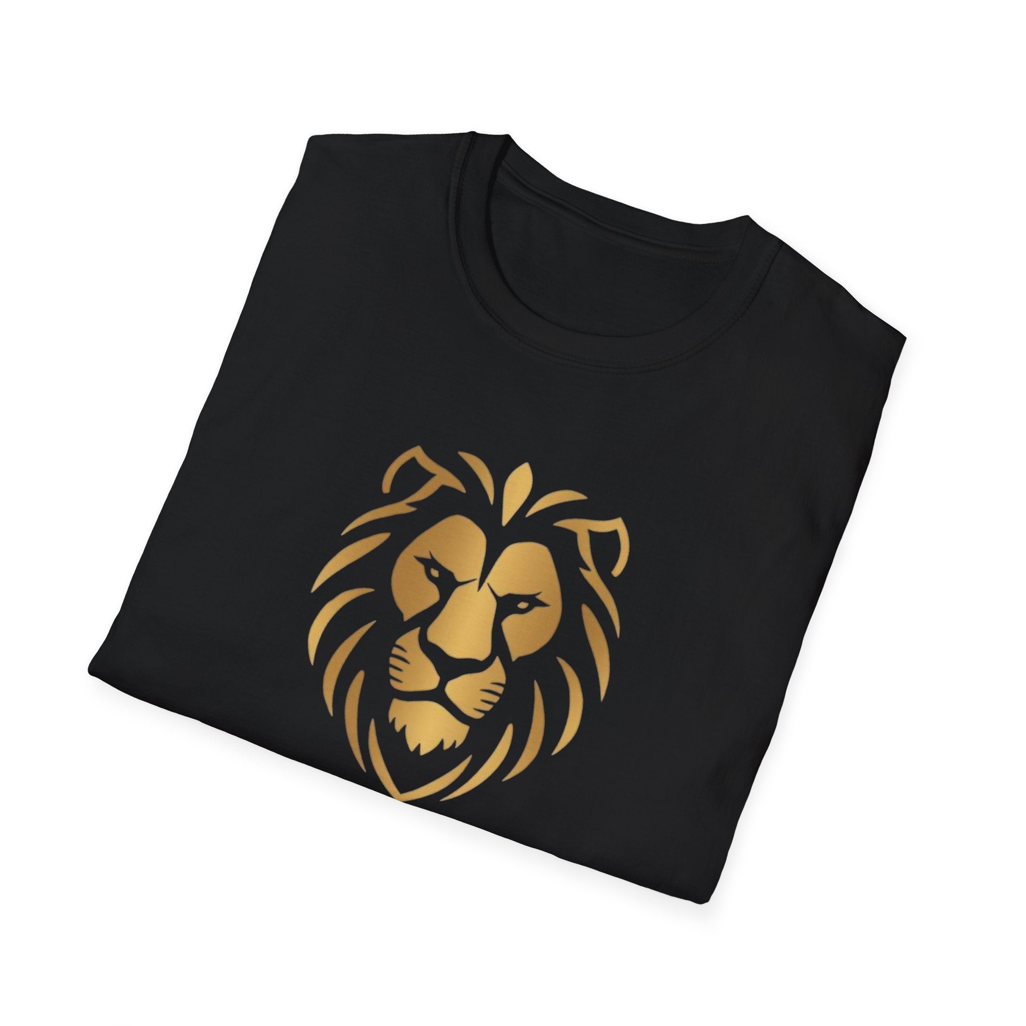 Motivational Tee — "This is a setback, not a verdict."
